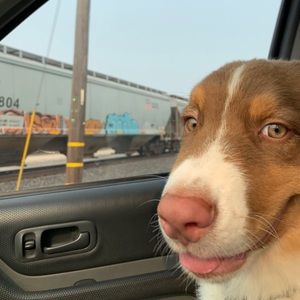 Meet your Posher, Kathy